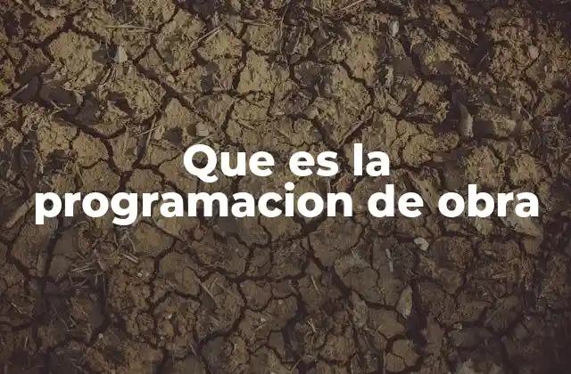 Que es la Programacion de Obra