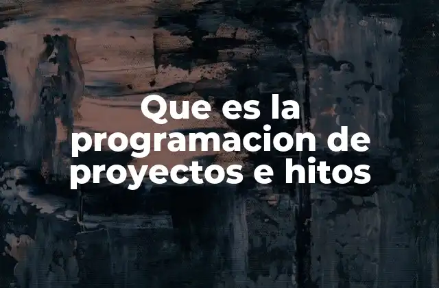 Que es la Programacion de Proyectos e Hitos