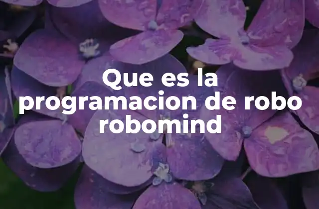 Que es la Programacion de Robo Robomind
