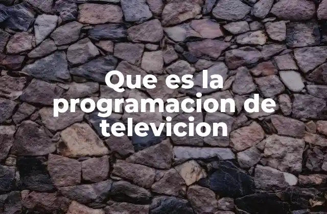 Que es la Programacion de Televicion