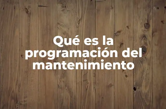 Qué es la Programación Del Mantenimiento