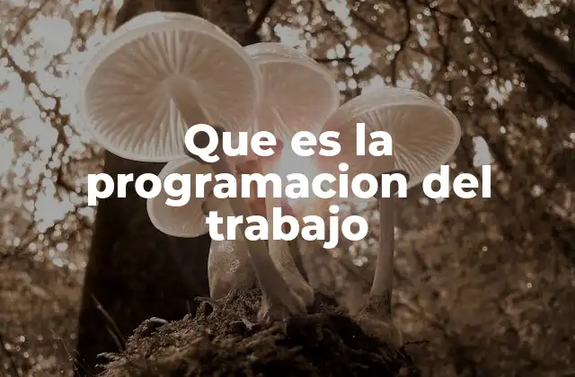 Que es la Programacion Del Trabajo