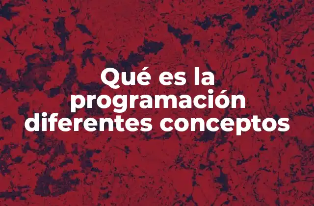 Qué es la Programación Diferentes Conceptos