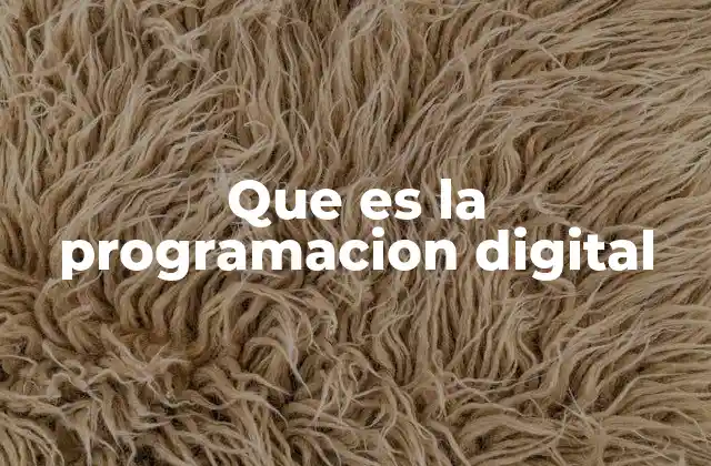 Que es la Programacion Digital