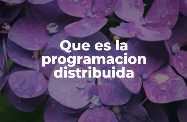 Que es la Programacion Distribuida