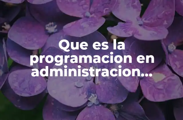 Que es la Programacion en Administracion Ejemplos