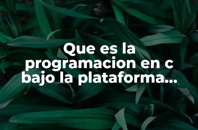 Que es la Programacion en C bajo la Plataforma Arduino
