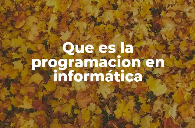 Cómo la programación transforma la forma en que interactuamos con la tecnología