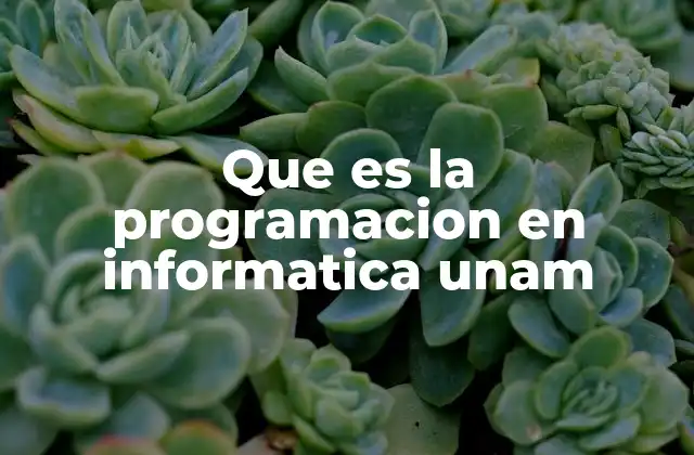 Que es la Programacion en Informatica Unam