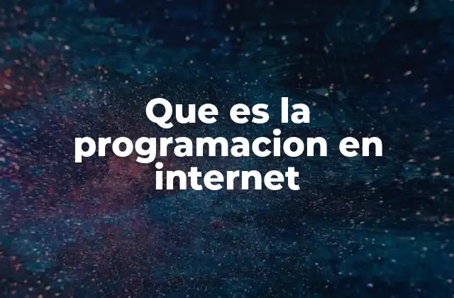 Que es la Programacion en Internet