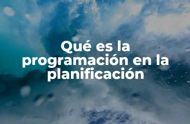 La importancia de la programación en la toma de decisiones estratégicas
