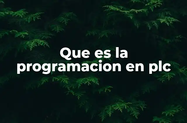 Que es la Programacion en Plc
