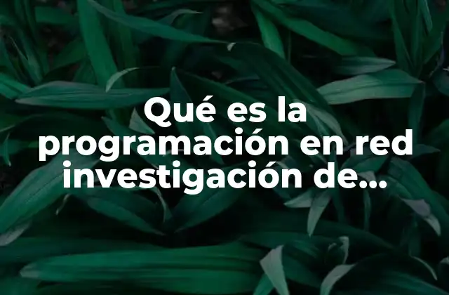 Aplicaciones prácticas de la programación en red en la toma de decisiones
