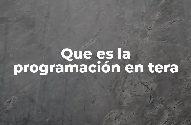 Que es la Programación en Tera