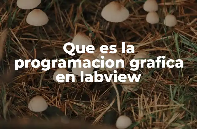 Que es la Programacion Grafica en Labview