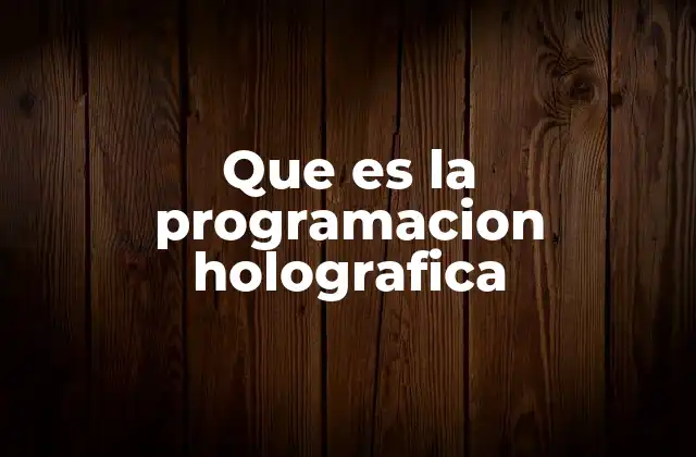 Que es la Programacion Holografica