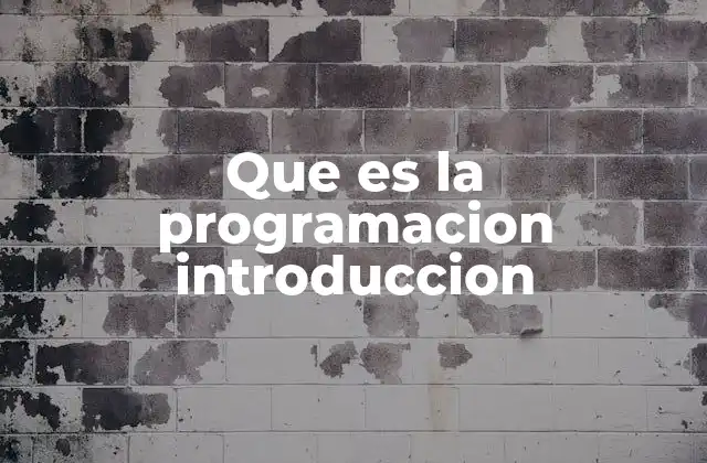 Que es la Programacion Introduccion