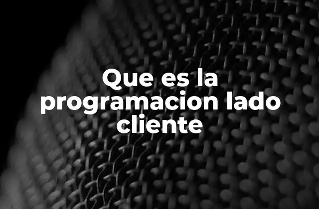 Que es la Programacion Lado Cliente