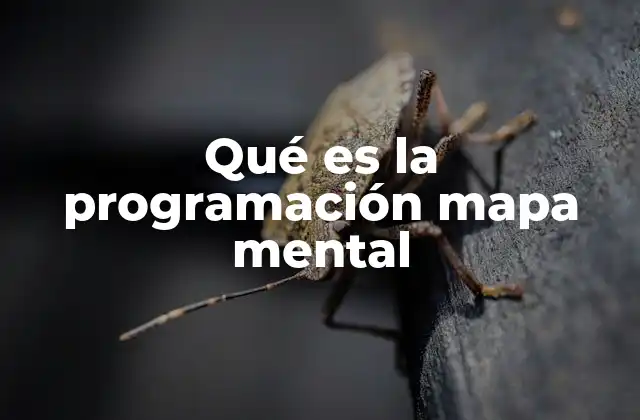 Qué es la Programación Mapa Mental