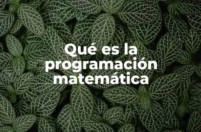 Qué es la Programación Matemática