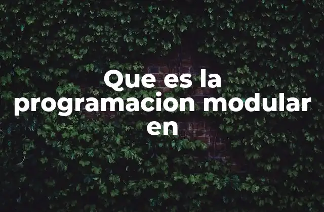 Que es la Programacion Modular en