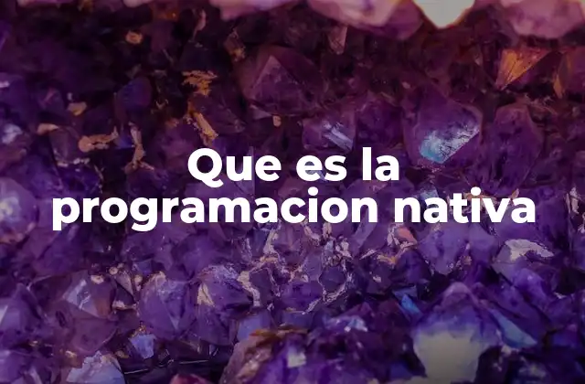 Que es la Programacion Nativa