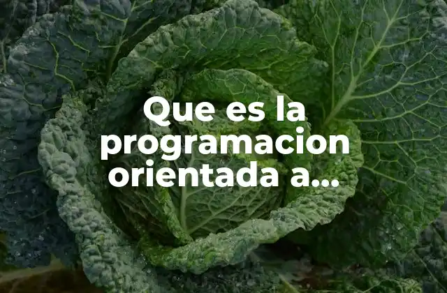 Que es la Programacion Orientada a Componentes