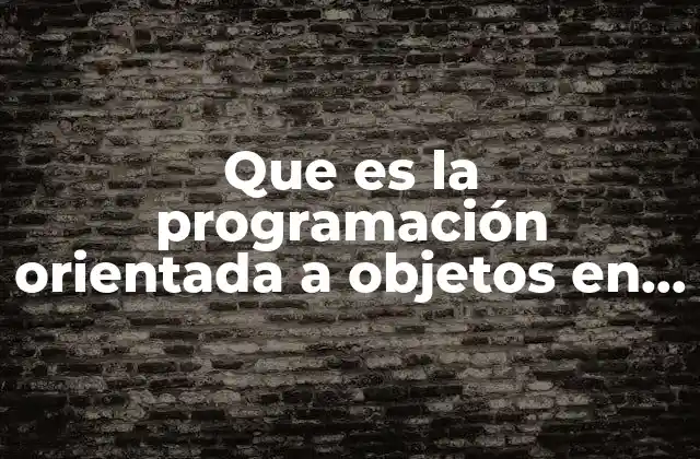 Que es la Programación Orientada a Objetos en Excel