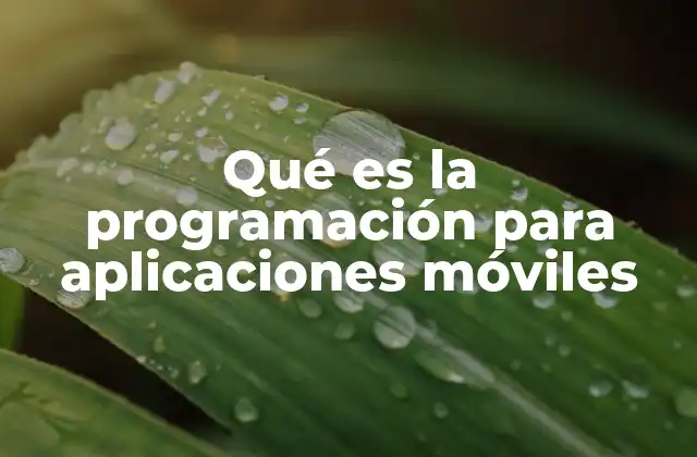 Qué es la Programación para Aplicaciones Móviles