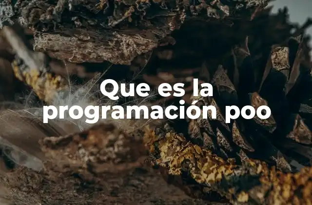 Que es la Programación Poo
