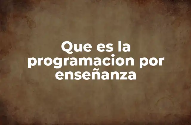 Que es la Programacion por Enseñanza