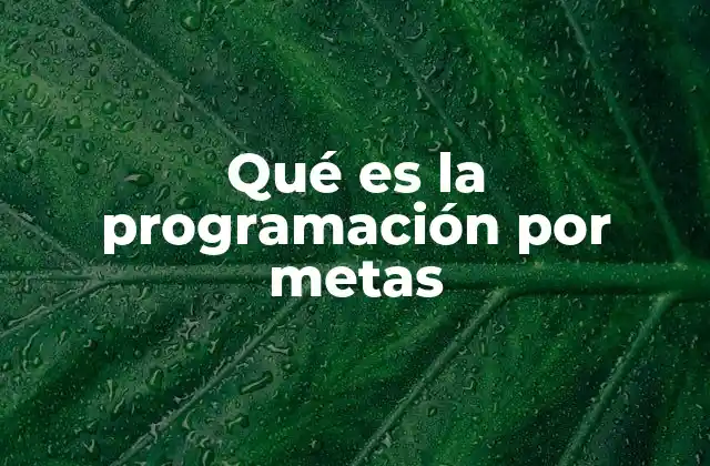 Qué es la Programación por Metas