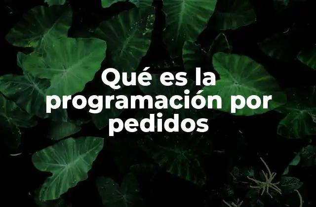 Qué es la Programación por Pedidos