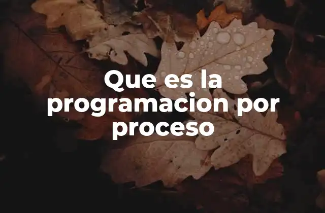 Que es la Programacion por Proceso