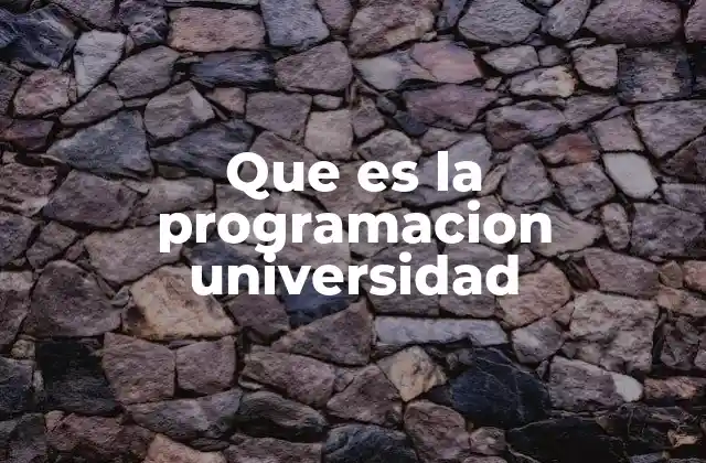 Que es la Programacion Universidad
