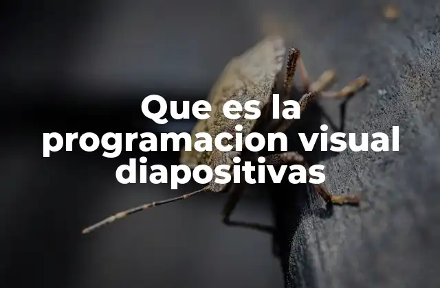 Que es la Programacion Visual Diapositivas