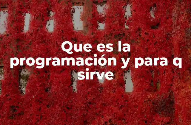 Que es la Programación y para Q Sirve
