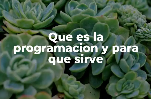 Que es la Programacion y para que Sirve
