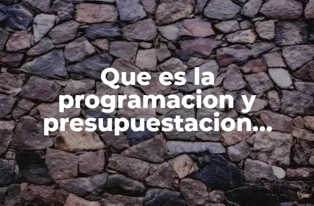 Que es la Programacion y Presupuestacion Gubernamental
