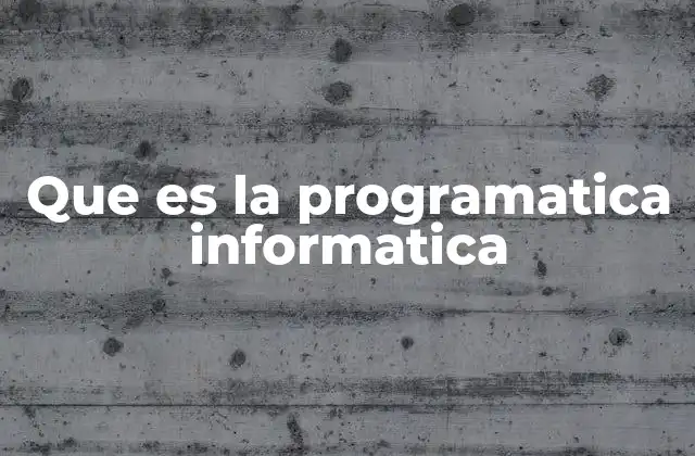 Que es la Programatica Informatica