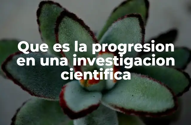 La importancia de una estructura clara en el desarrollo de una investigación