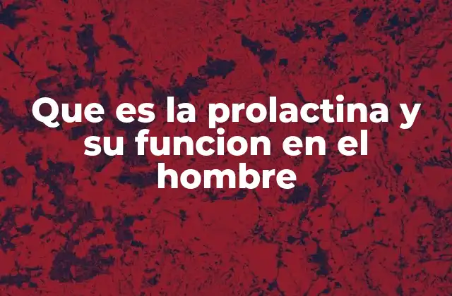 Que es la Prolactina y Su Funcion en el Hombre 2 El papel de la prolactina en la regulación hormonal masculina