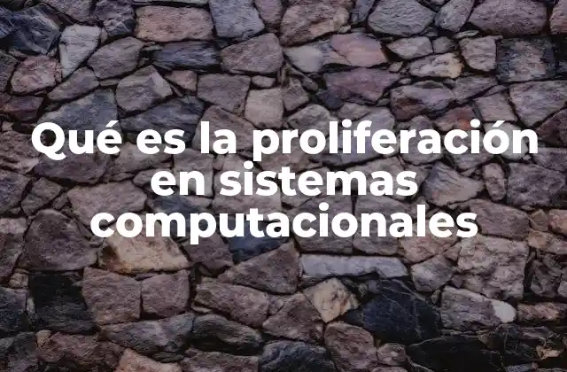 Qué es la Proliferación en Sistemas Computacionales
