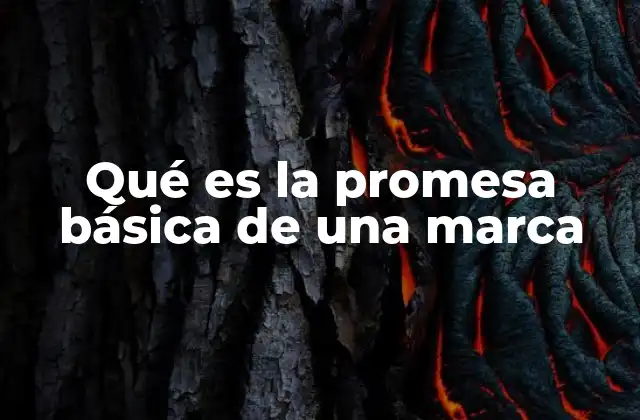 Qué es la Promesa Básica de una Marca