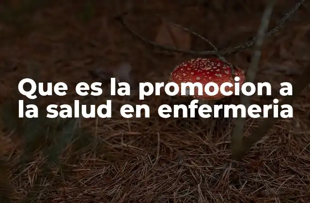 Que es la Promocion a la Salud en Enfermeria