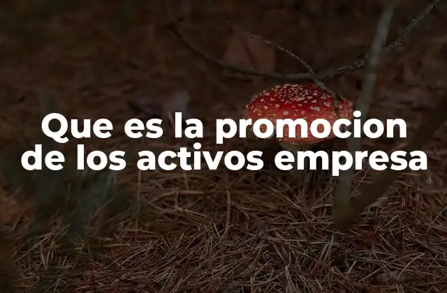 Que es la Promocion de los Activos Empresa