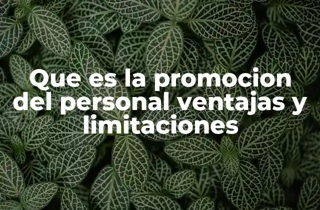 Que es la Promocion Del Personal Ventajas y Limitaciones