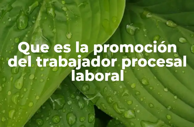 Que es la Promoción Del Trabajador Procesal Laboral