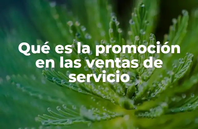 Qué es la Promoción en las Ventas de Servicio