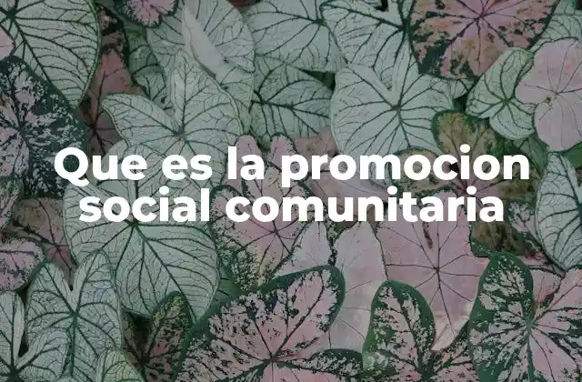 Que es la Promocion Social Comunitaria